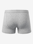 Classic Soft Trunk (Horizontal Fly) - Light Gray