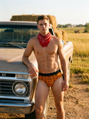 Sheriff Stripe