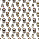 【Pre-Order】Classic Soft MicroModal Brief（Horizontal Fly） -Halloween  | Sugar Skull Lineup