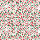 【Pre-Order】Classic Soft MicroModal Brief（Horizontal Fly）- Christmas | Jingle Confetti